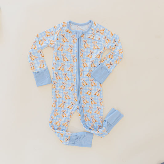 Blue Teddy Bear Zippy