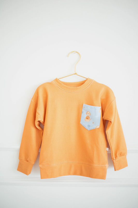 Pumpkin Paws Short Set
